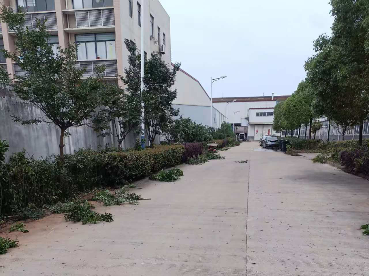 安徽皖新电机有限公司厂区园林绿化养护及改造工程(图1)