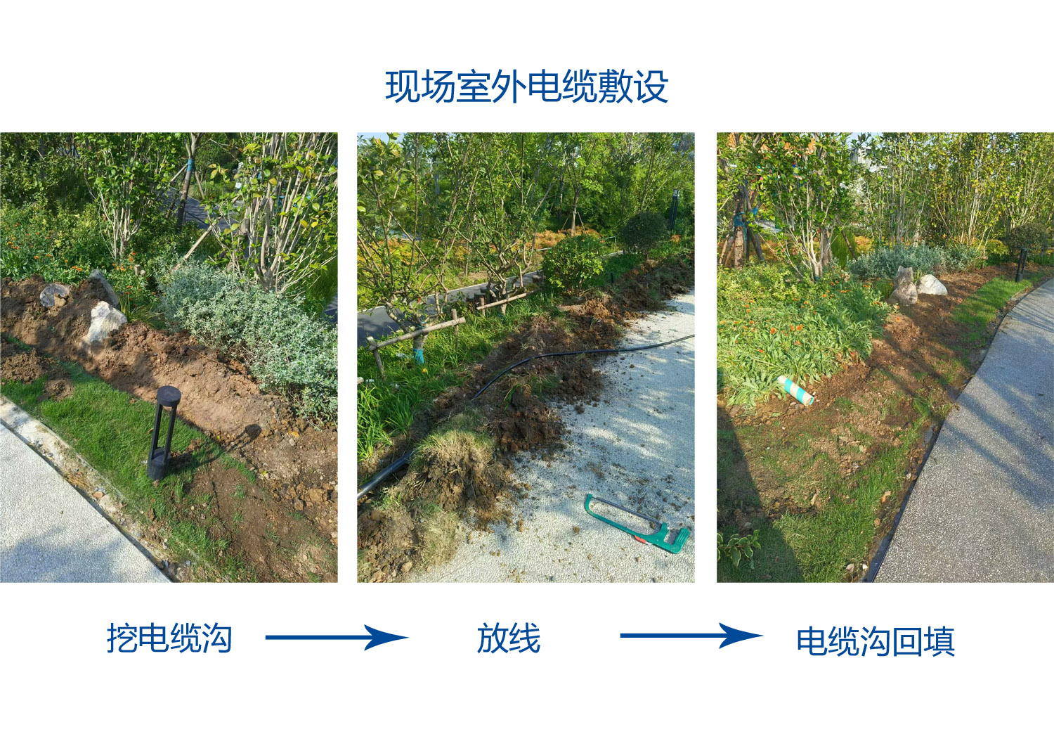 合肥骆岗生态公园昆明园展厅装修改造工程(图1)